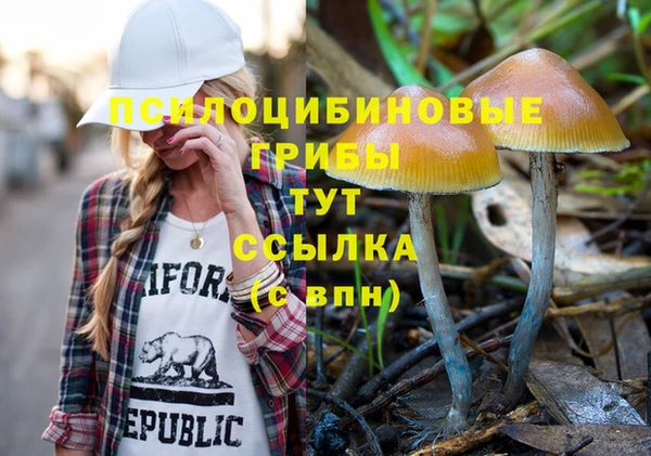 дмт Алексин